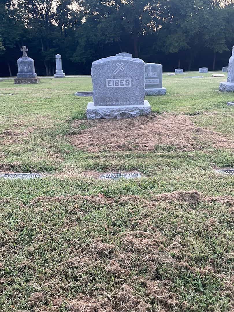 Mary Emma Eibes's grave. Photo 2