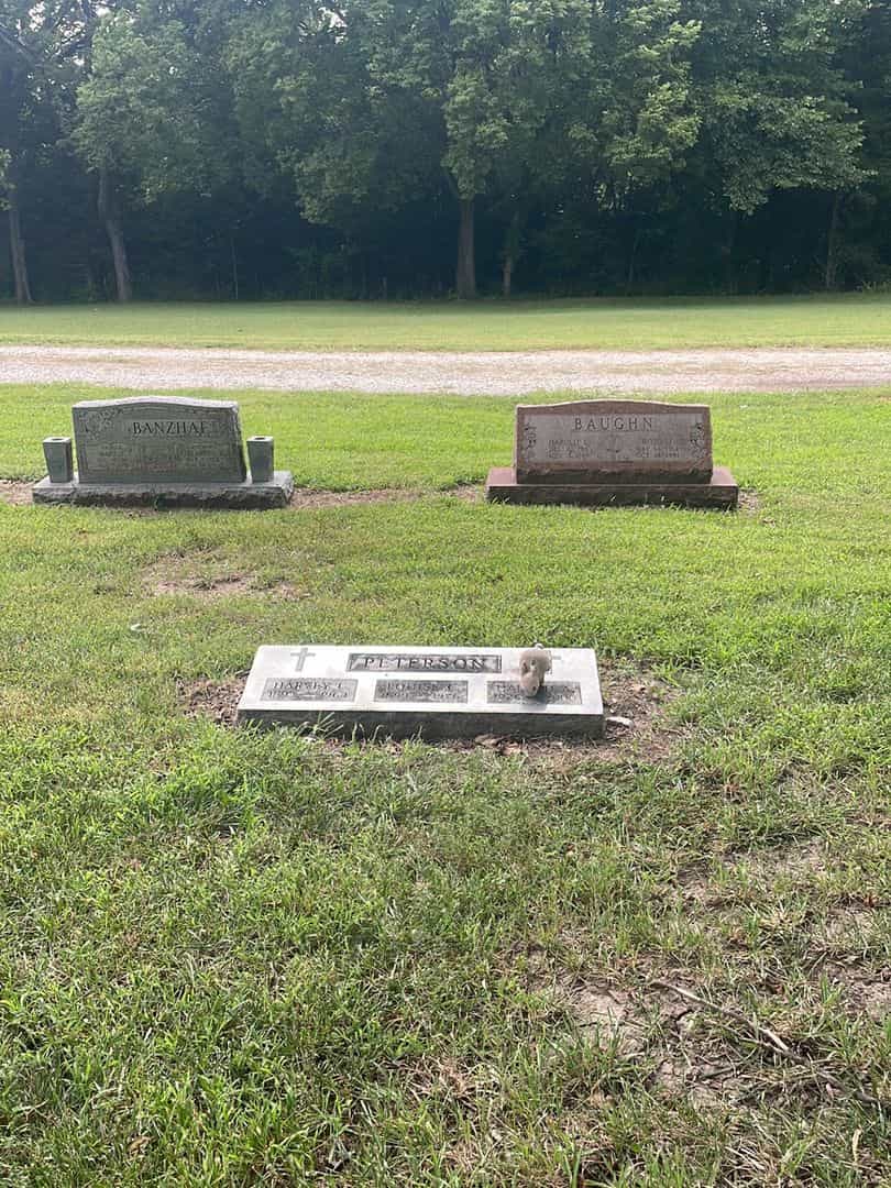 Harold Andrew Peterson's grave. Photo 2