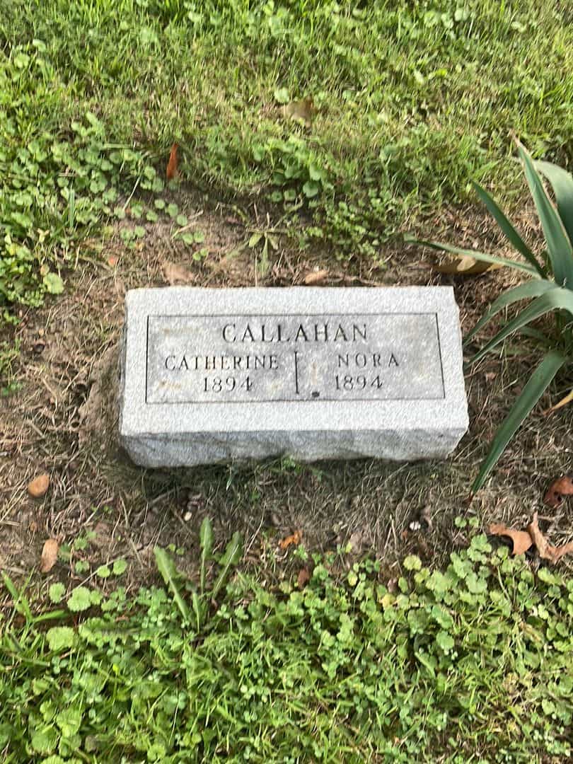 Nora Callahan's grave. Photo 1