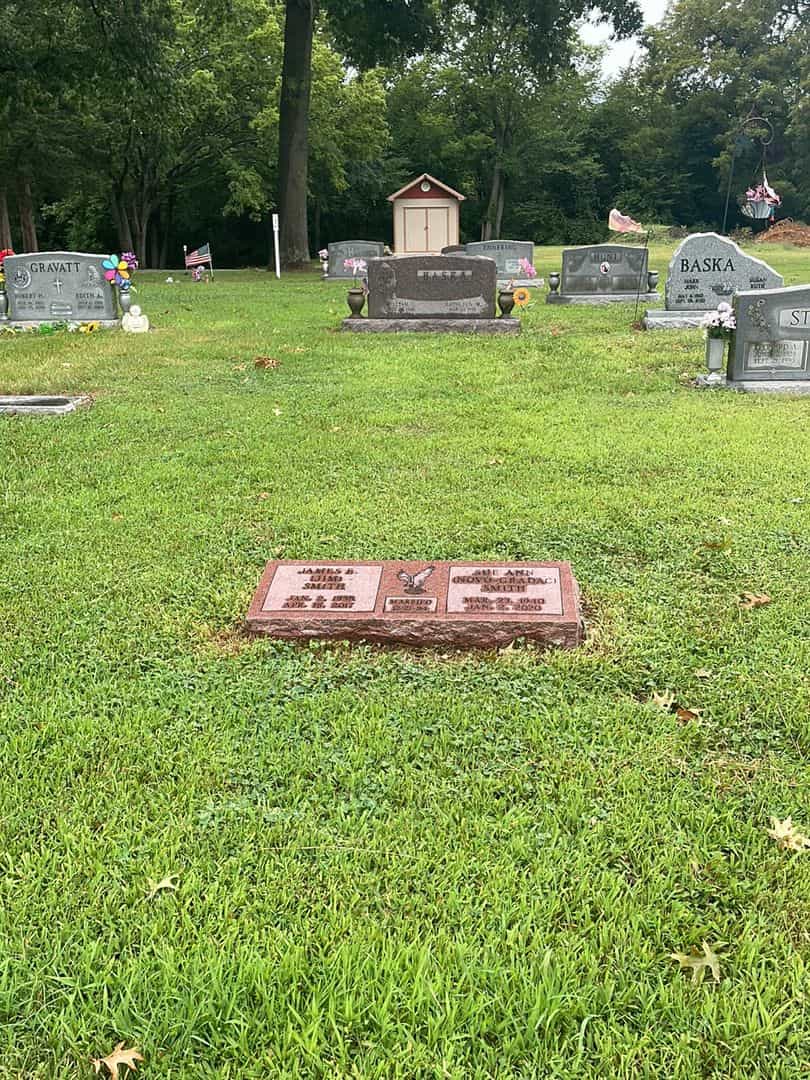 Sue Ann Novo-Gradac Smith's grave. Photo 2