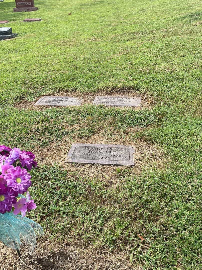 George Price Scarlett's grave. Photo 2