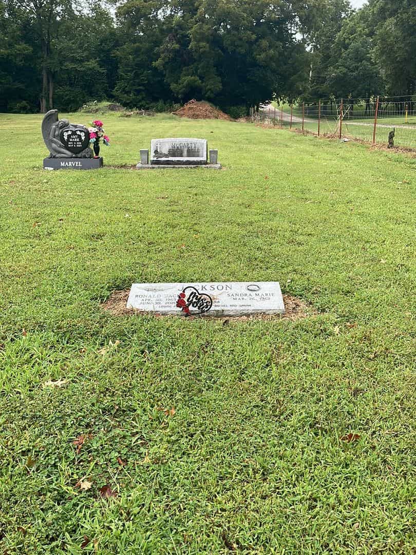Ronald D. "Jack" Jackson's grave. Photo 2