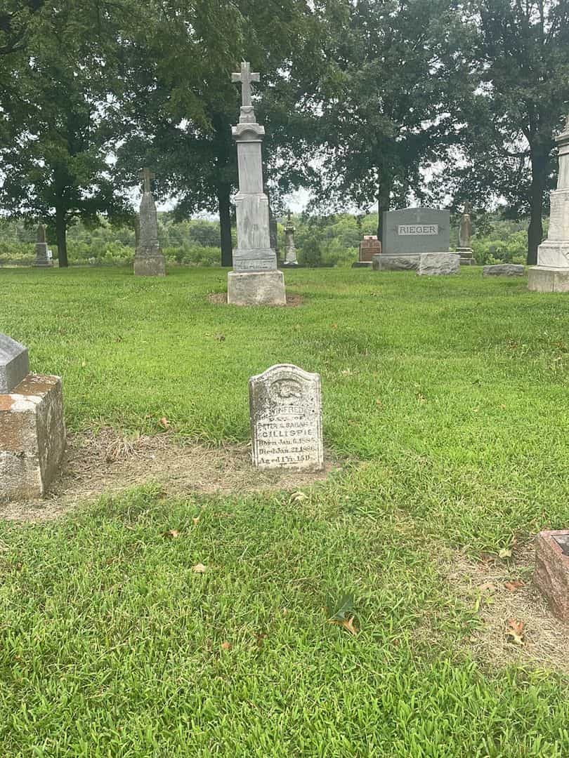 Joseph W. Gillespie's grave. Photo 2