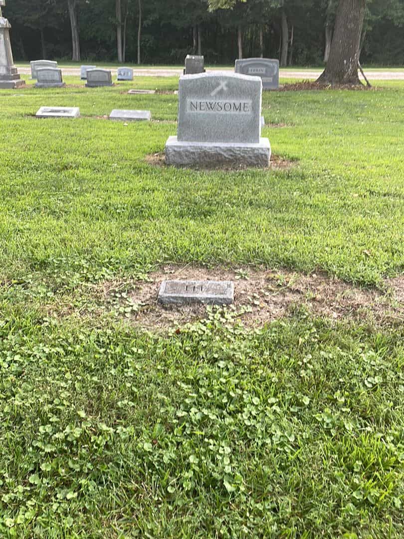 Lee Newsome's grave. Photo 2