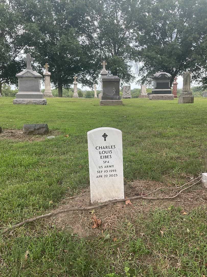 Charles Louis Eibes's grave. Photo 2