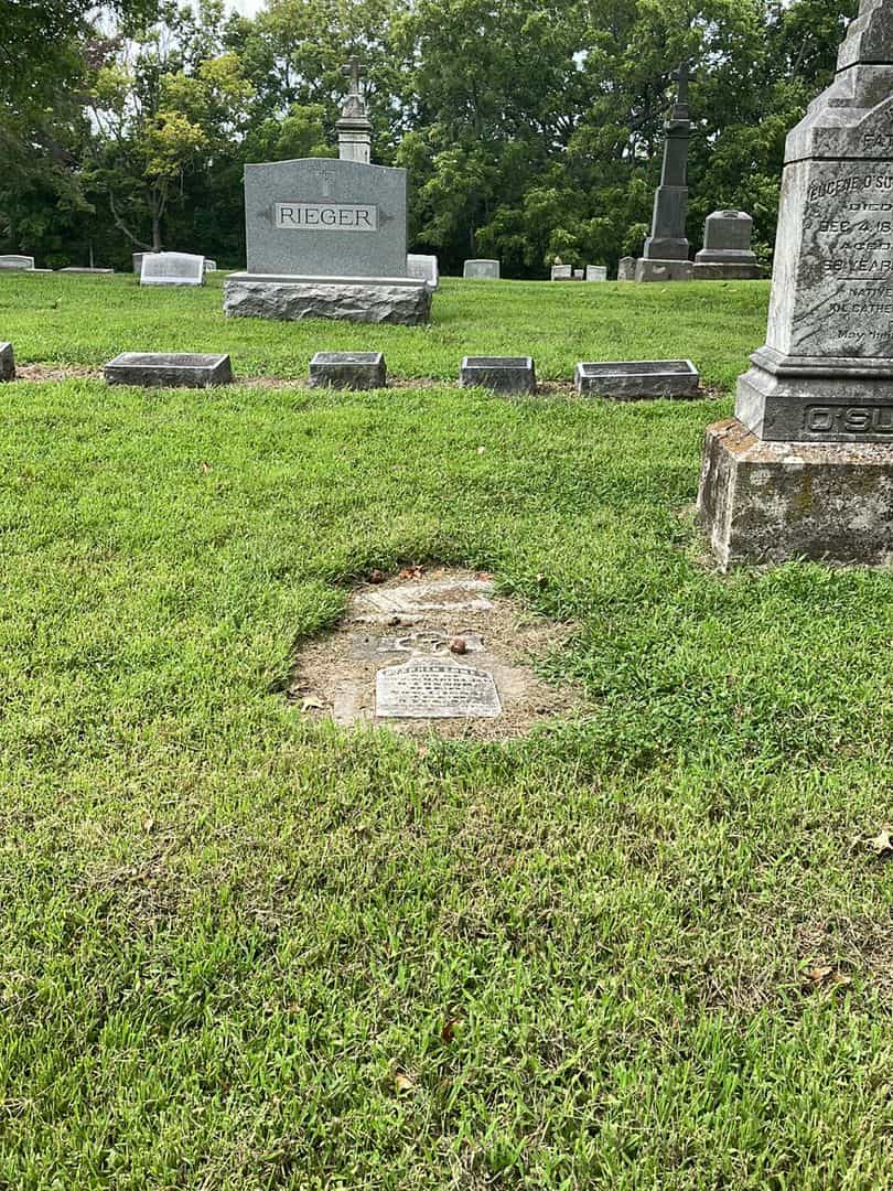 Stephen Emmet O’Conner's grave. Photo 2