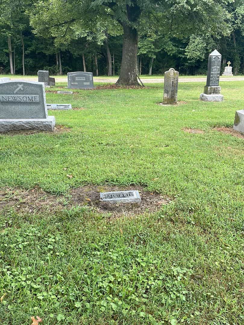 Mary Ann "Mollie" Newsome's grave. Photo 2