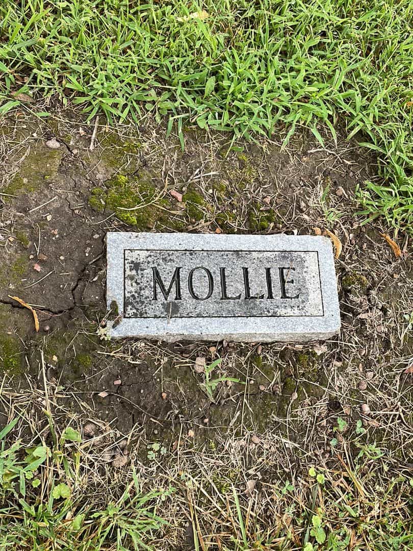 Mary Ann "Mollie" Newsome's grave. Photo 3