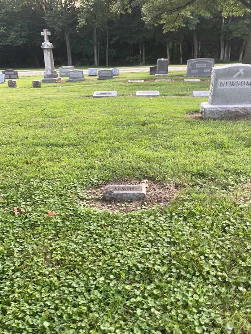 Marie C. Newsome's grave. Photo 2