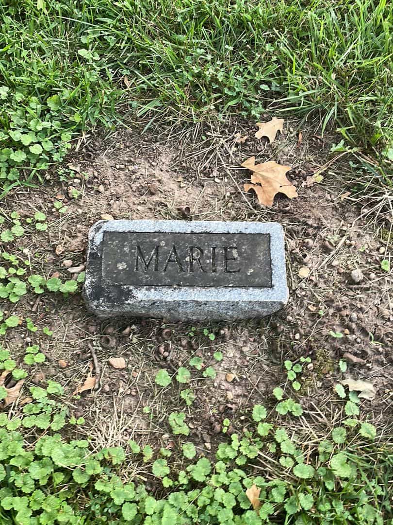 Marie C. Newsome's grave. Photo 3