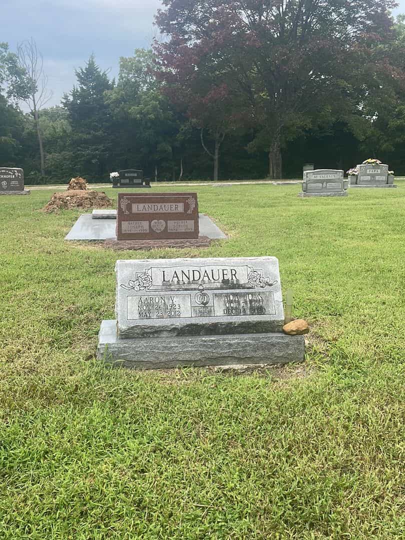 Aaron Valentine Landauer's grave. Photo 2