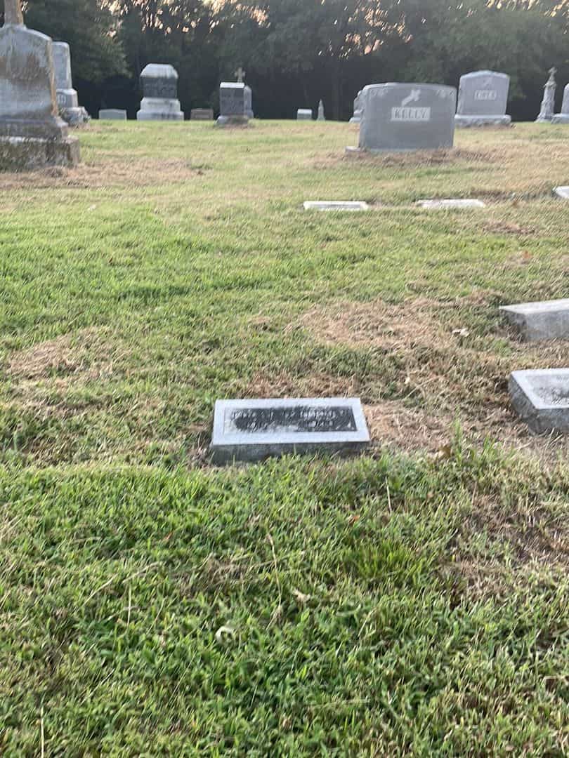 Edgar Housley Reeves's grave. Photo 2