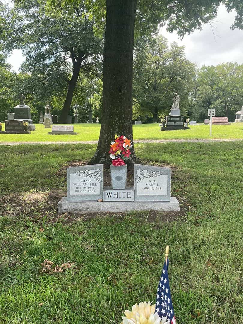 William John "Bill" White's grave. Photo 2