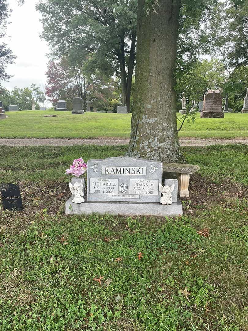 Joann M. Kaminski's grave. Photo 2