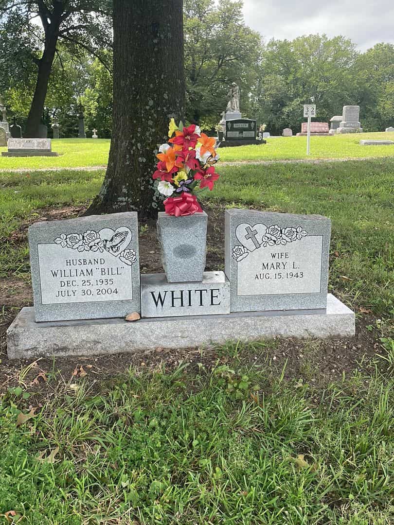 William John "Bill" White's grave. Photo 1
