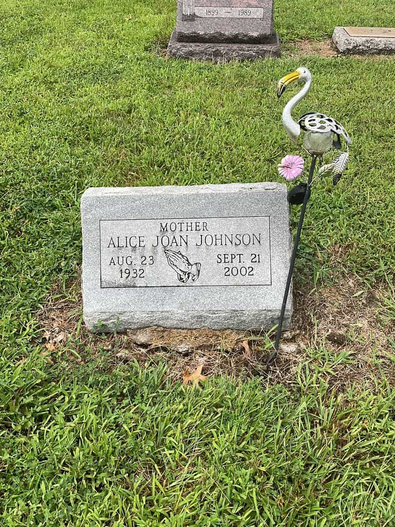 Alice Joan Johnson's grave. Photo 1