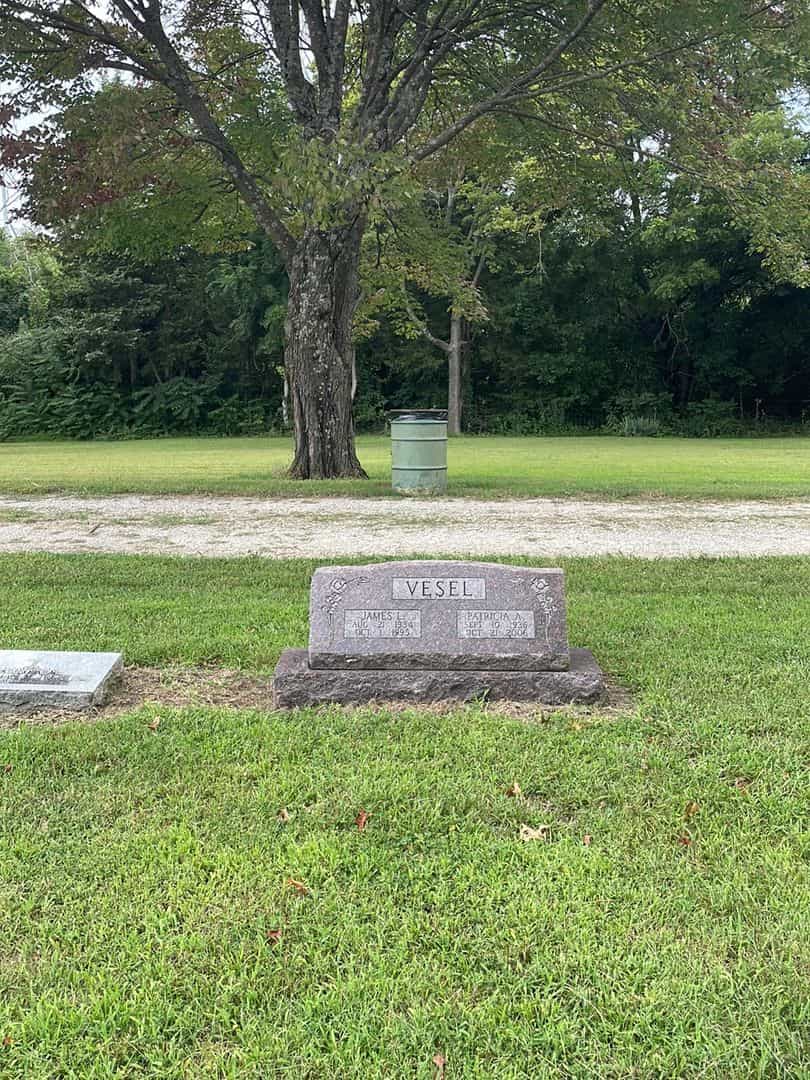 James L. Vesel's grave. Photo 2