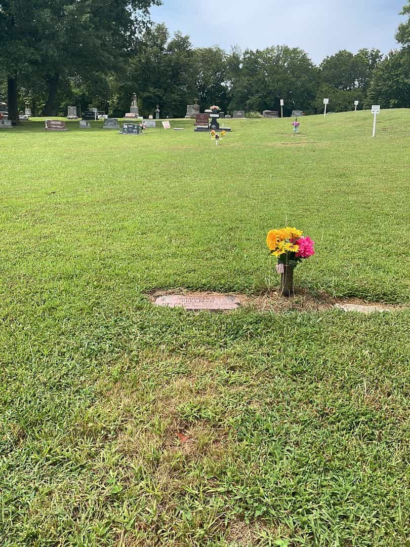 Nicholas Adam Pellman's grave. Photo 2