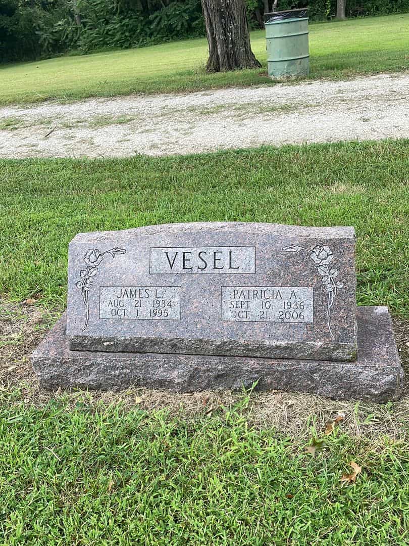 James L. Vesel's grave. Photo 1